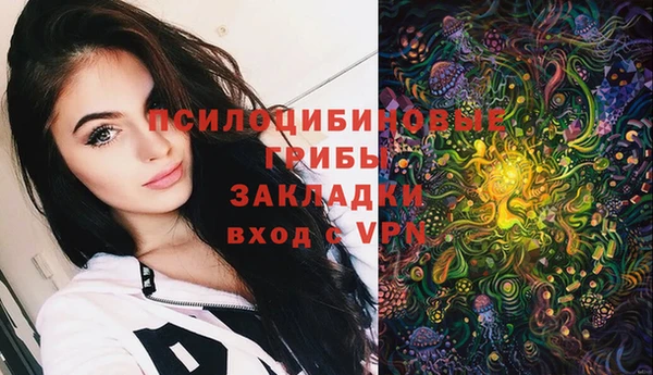 твердый Балахна