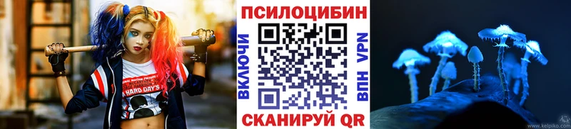 Галлюциногенные грибы мицелий  MEGA ссылки  Зубцов 